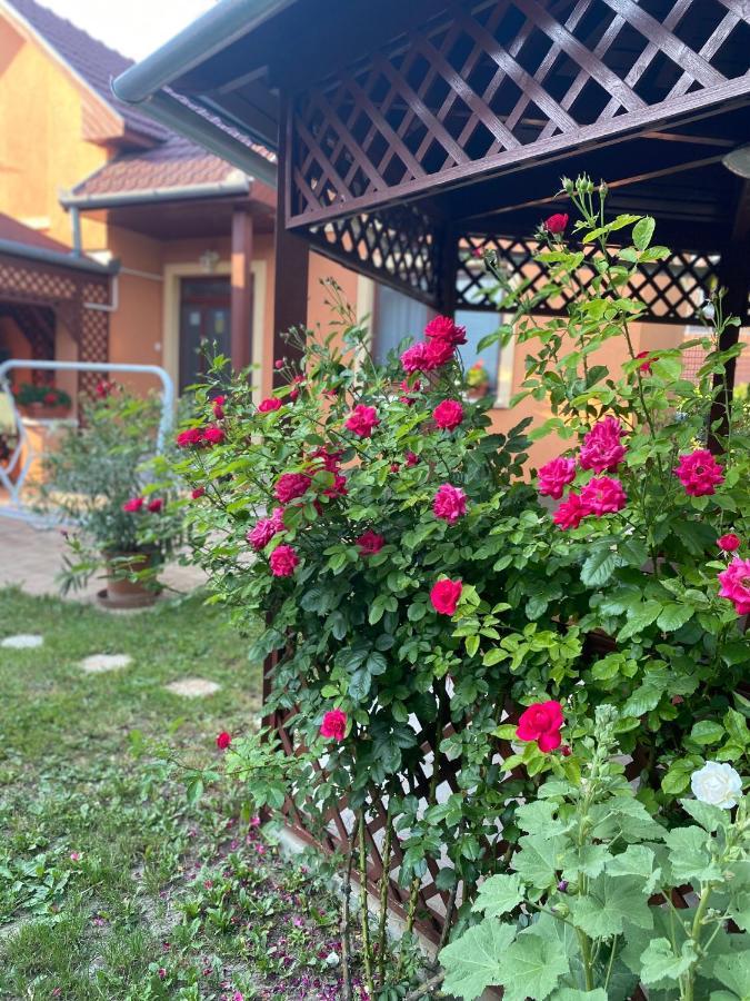 Apartman Dóra Hajdúszoboszló Exterior foto